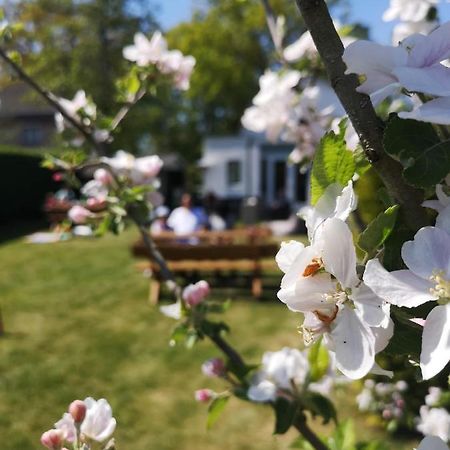 B&B De Koffietuin Beekbergen Eksteriør billede