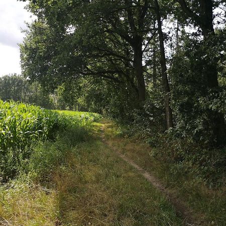B&B De Koffietuin Beekbergen Eksteriør billede